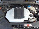  1:  (/)  Audi BPP