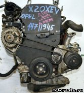 3:  (/)  Opel X20XEV