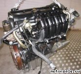  5:  (/)  Chevrolet F14D3