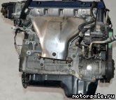  8:  (/)  Honda F20B (DOHC)