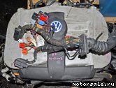  10:  (/)  Volkswagen (VW) BDN, BDP