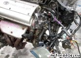  3:  (/)  Toyota 4A-GE (20 VALVE) (SILVER TOP)