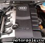 Audi () BPJ:  1