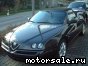 Alfa Romeo ( ) Spider V (916S_):  1
