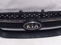 Решетка радиатора Hyundai / Kia Каренс 3 фотография №1