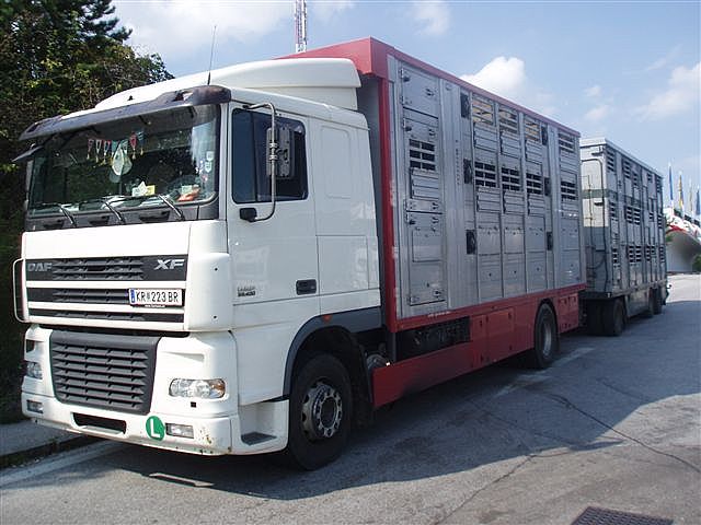 DAF () XF95:  