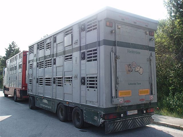 DAF () XF95:  