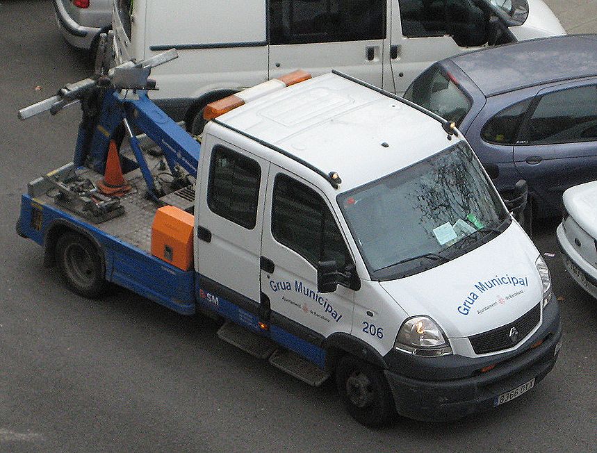 Renault () Mascott:  