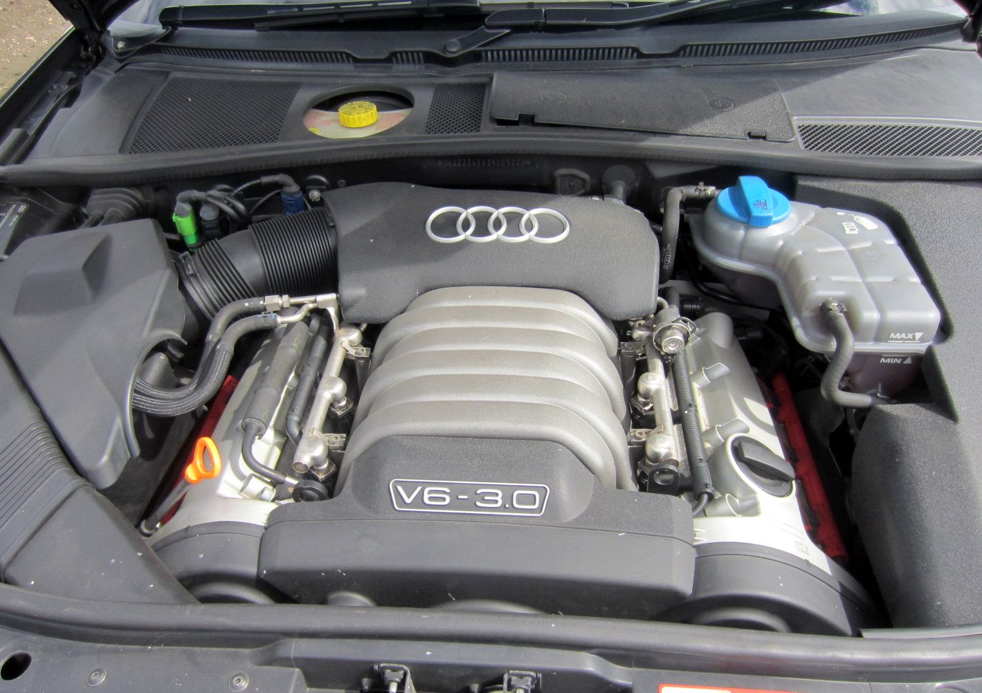 Audi () ASN:  