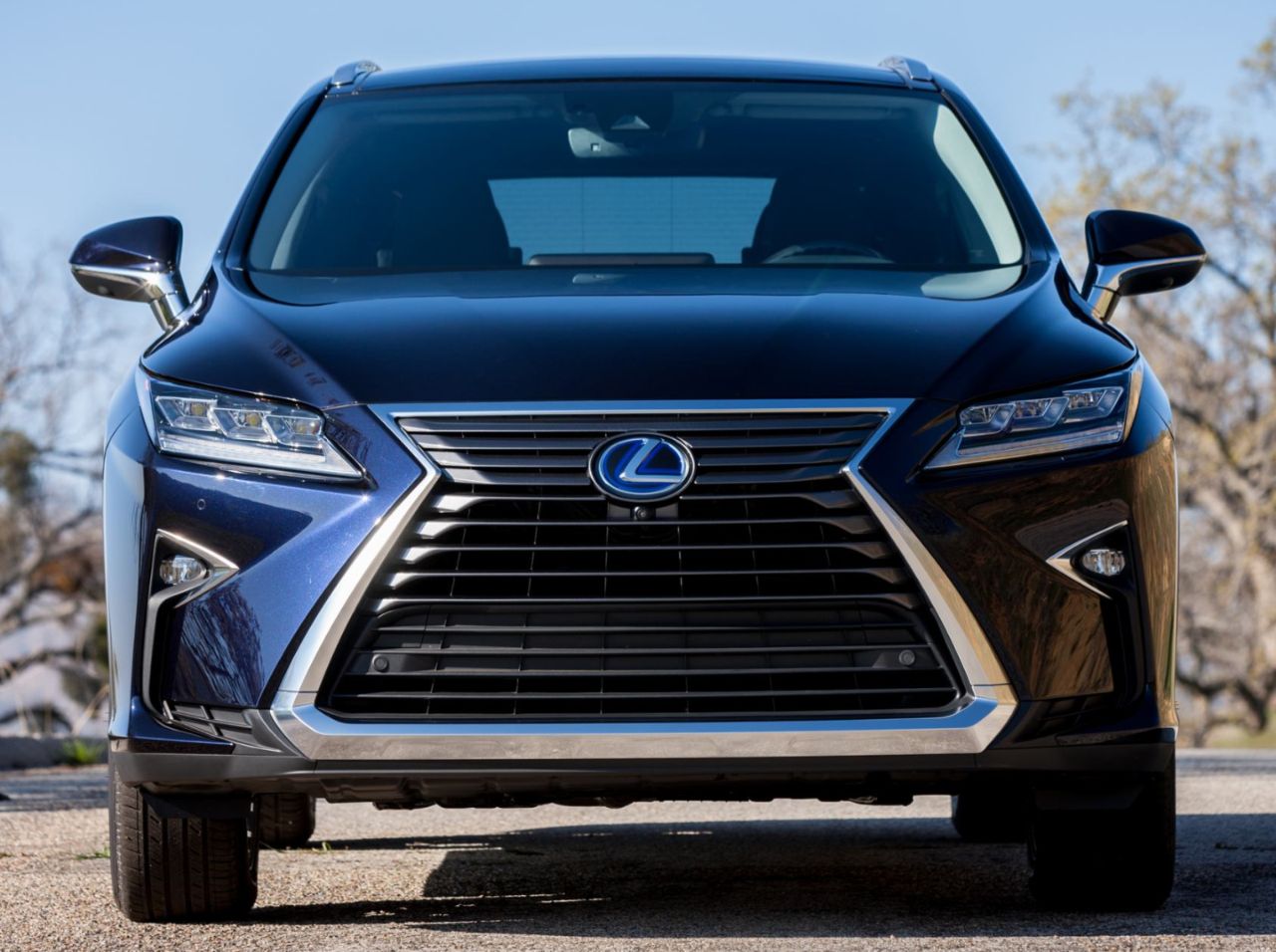 Lexus () RX IV (AL20):  