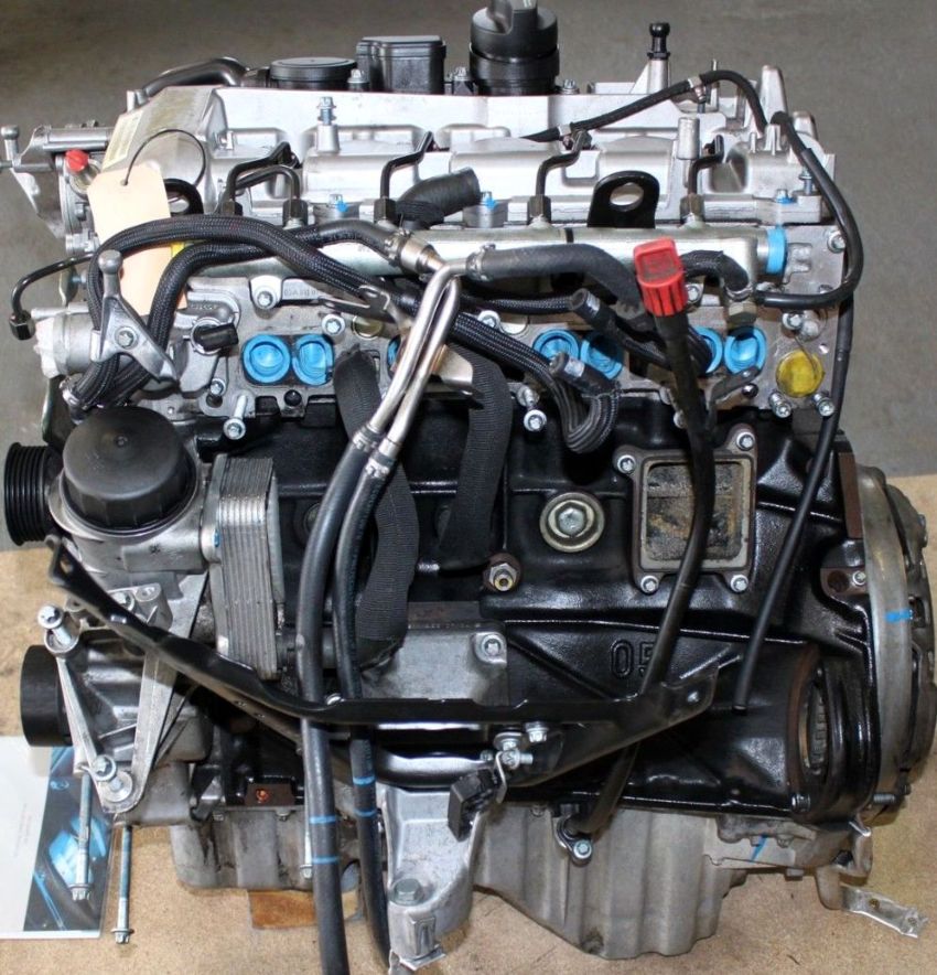 Mercedes Benz () 646.962 (646962):  
