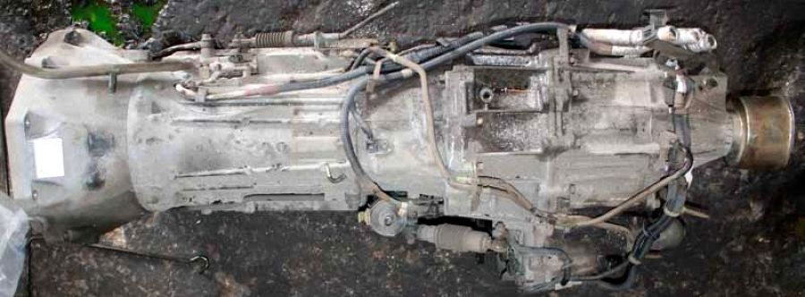 Nissan () Terrano, Terrano Regulus (TR50, 43X63):    