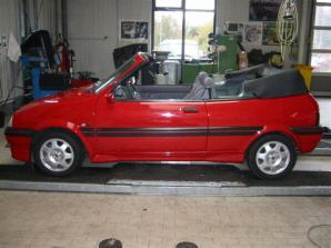 Rover () 100 (Metro):  