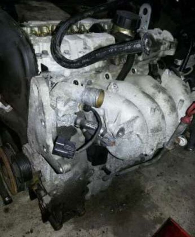 Volvo () B4204T4:  