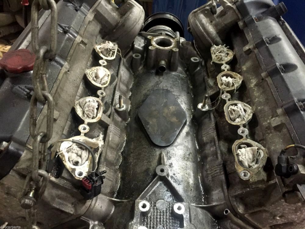 Jaguar () AJ-V8 3,2l:  