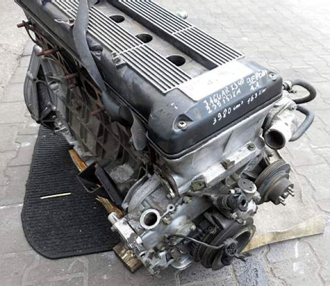 Jaguar () 9E PCNA:  