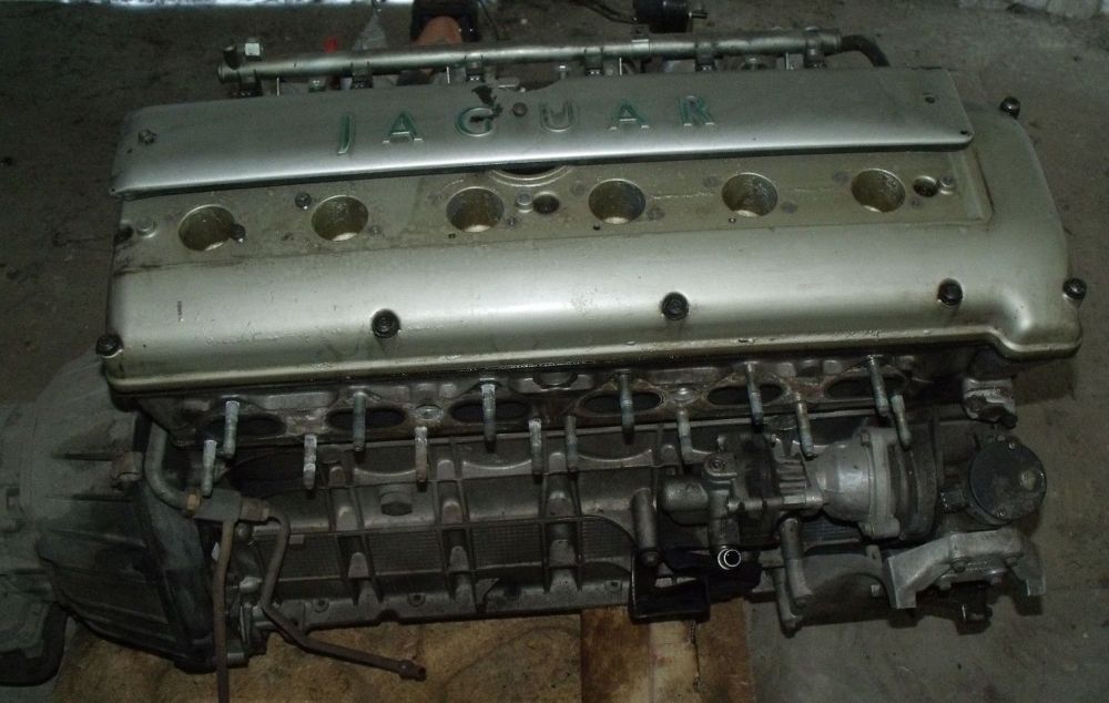 Jaguar () 9J PFRB:  