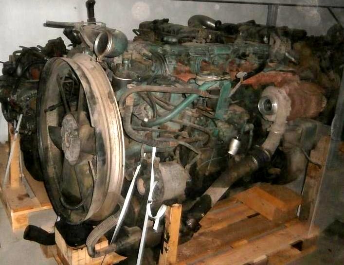 Volvo () D10B:  