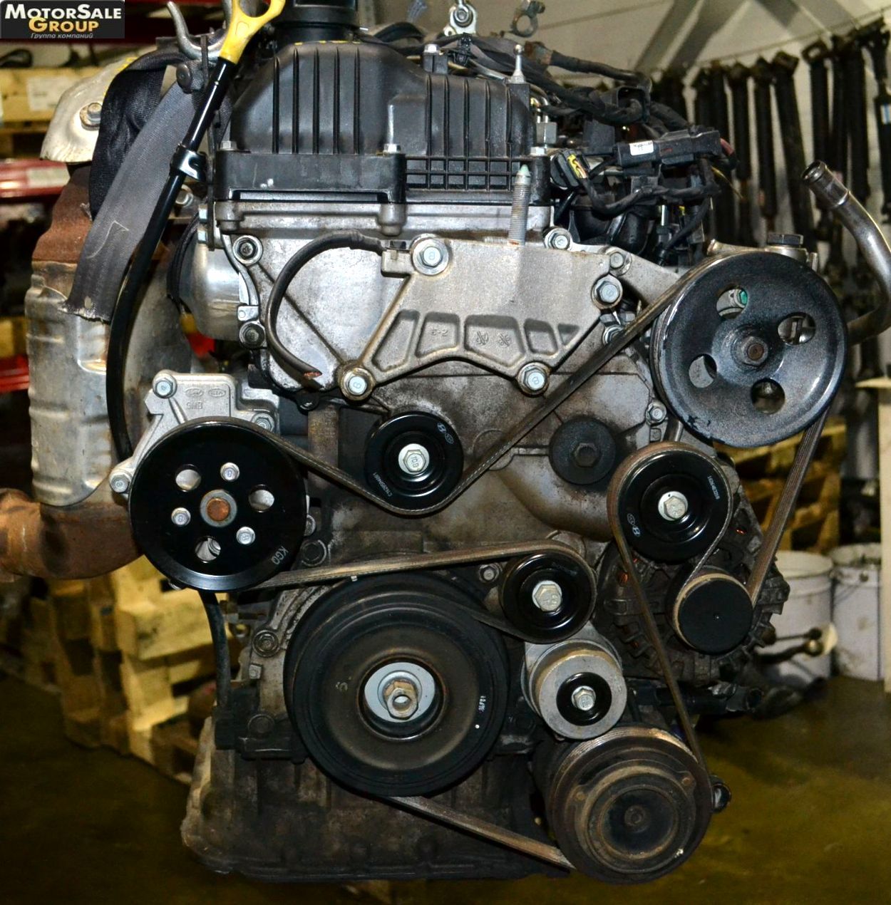 D4HB
