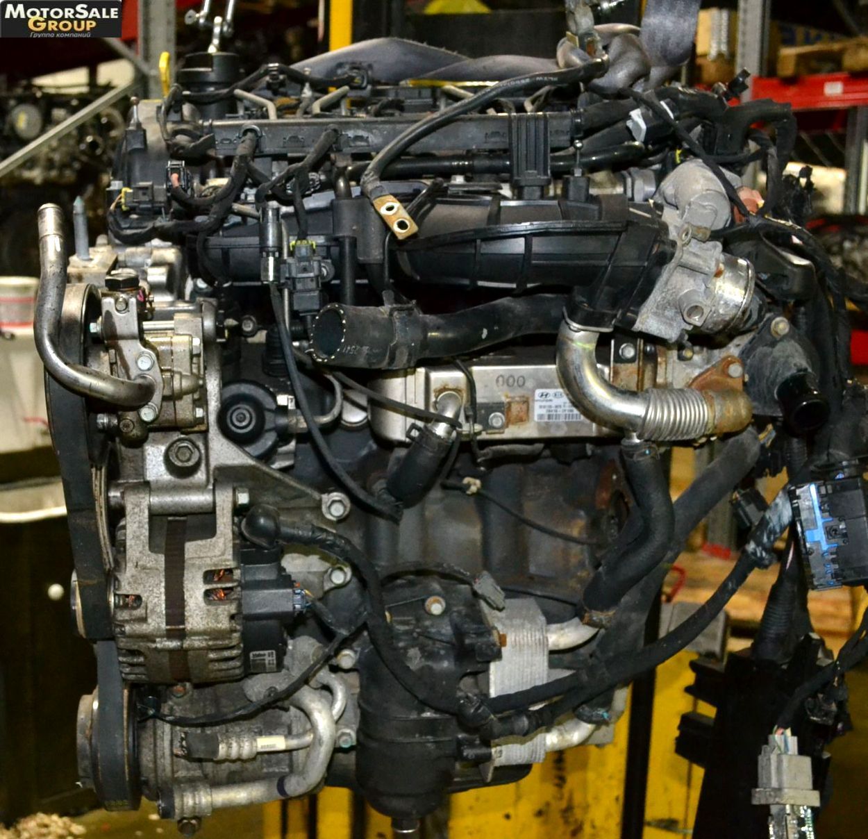 D4HB