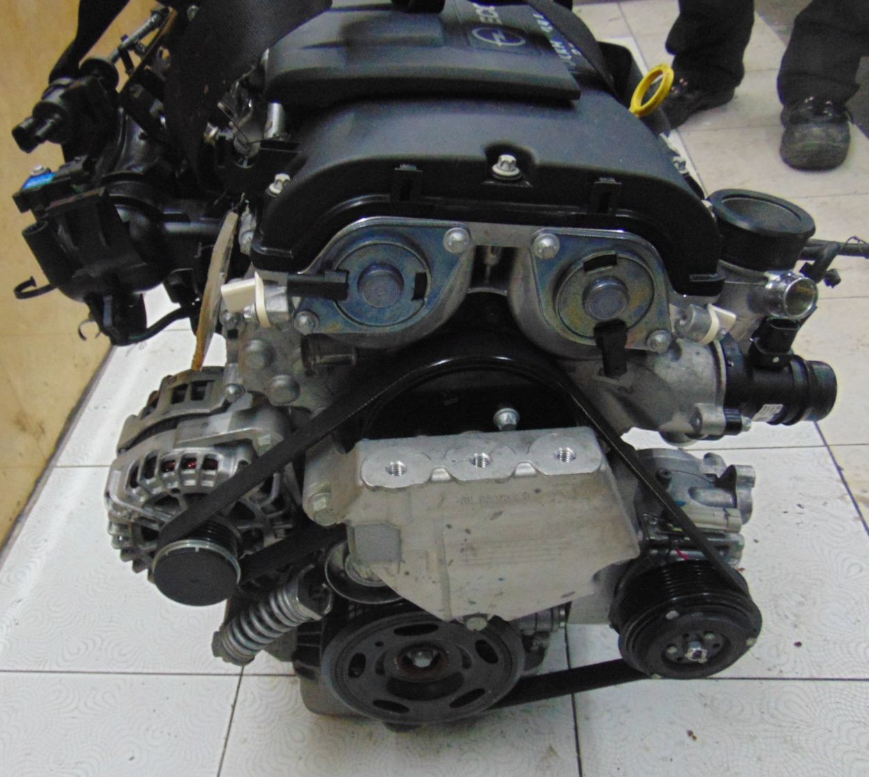 Opel () B14NET LUJ:  