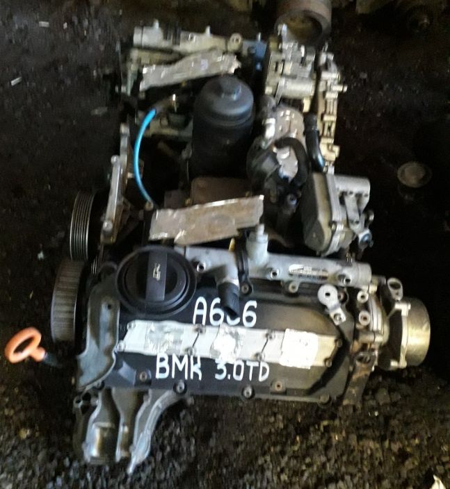 Volkswagen (VW) () BMK:  