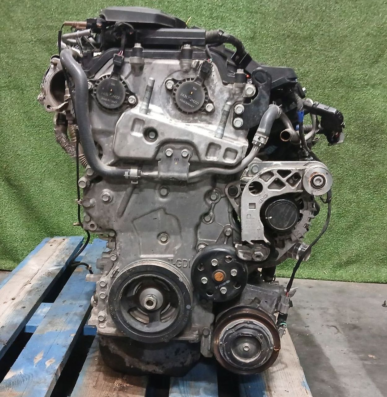 G4FP