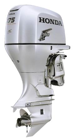 Honda () BF175:   