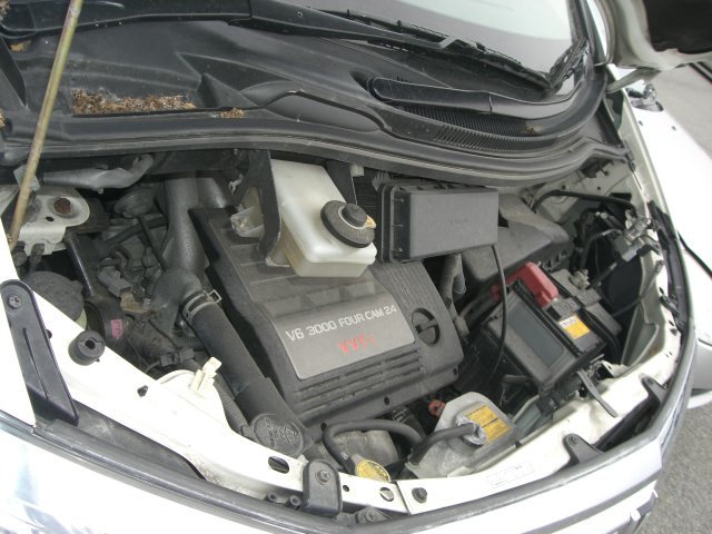 Toyota () Alphard I (H1_):  
