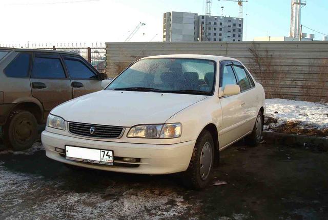 Toyota () Corolla  VIII (_E11_):  