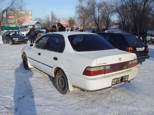 Toyota () Corolla  VII (_E10_):  