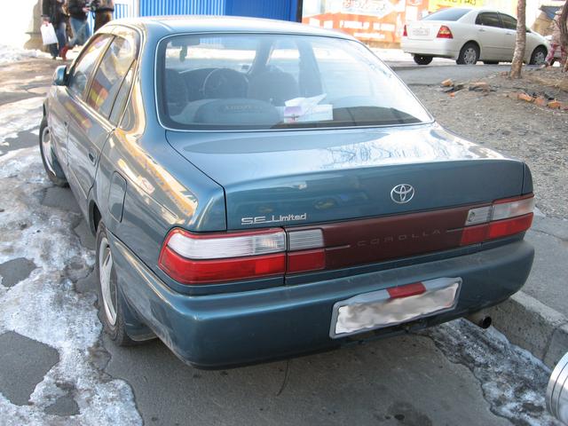 Toyota () Corolla  VII (_E10_):  