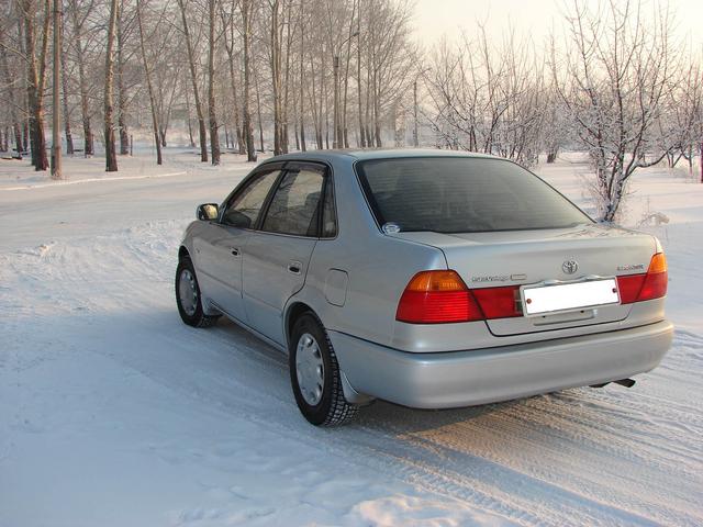Toyota () Sprinter VIII (E11_):  