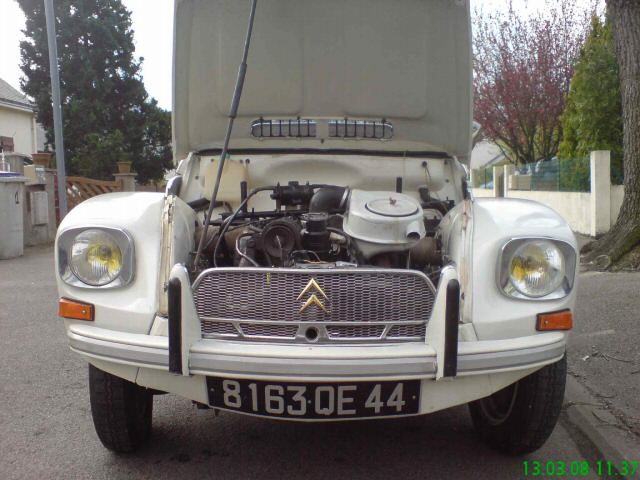 Citroen () Dyane:  