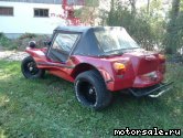  5:  Volkswagen (VW) Apal C Buggy
