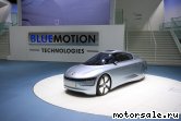  1:  Volkswagen (VW) L1