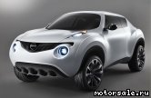  1:  Nissan Juke I (F15)