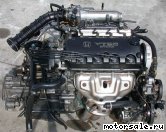  1:  (/)  Honda ZC (VTEC)