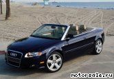  1:  Audi A4 Cabriolet (8H7, 8HE)