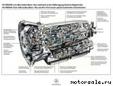  1:    ,  (/)  Mercedes Benz 7G-Tronic