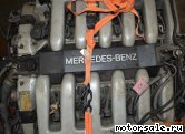  5:  (/)  Mercedes Benz 120.981 (120981)
