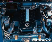  1:  (/)  Mercedes Benz 113.991 AMG (113991)