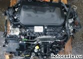  1:  (/)  Ford QXWC, UFWA, QXWA, QXWB