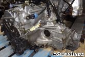  7:    ,  (/)  Honda Accord Wagon (CL7, CM3), MCXA