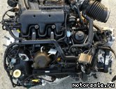  1: G6DG