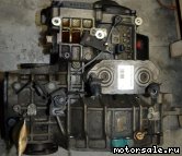  8:    ,  (/)  Volkswagen (VW) Bora, Golf, Jetta, New Beetle (FDG, EPH, EFB, ELZ)