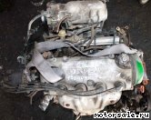  11:  (/)  Honda D16A, D16W