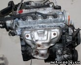  7:  (/)  Honda D16A