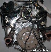  14:  (/)  Nissan VQ25DD