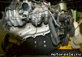  3:  (/)  Toyota 1G-EU